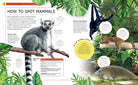 Hardcover jungle animals book by Insight Editions featuring colorful illustrations of wild animals in their natural habitats.