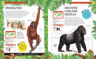 Hardcover jungle animals book by Insight Editions featuring colorful illustrations of various wild animals.