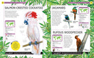 Hardcover Jungle Animals book by Insight Editions featuring colorful illustrations of various jungle creatures.