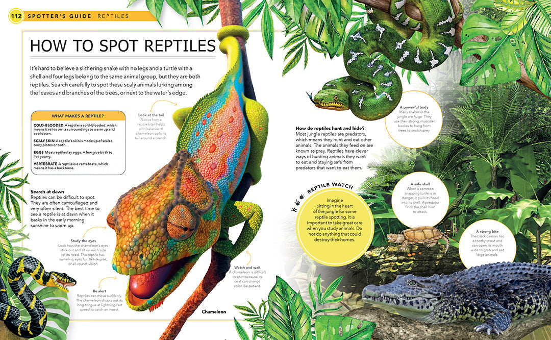 Hardcover jungle animals book by Insight Editions featuring colorful illustrations of various wild animals.