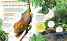 Hardcover jungle animals book by Insight Editions featuring colorful illustrations of various wild animals.