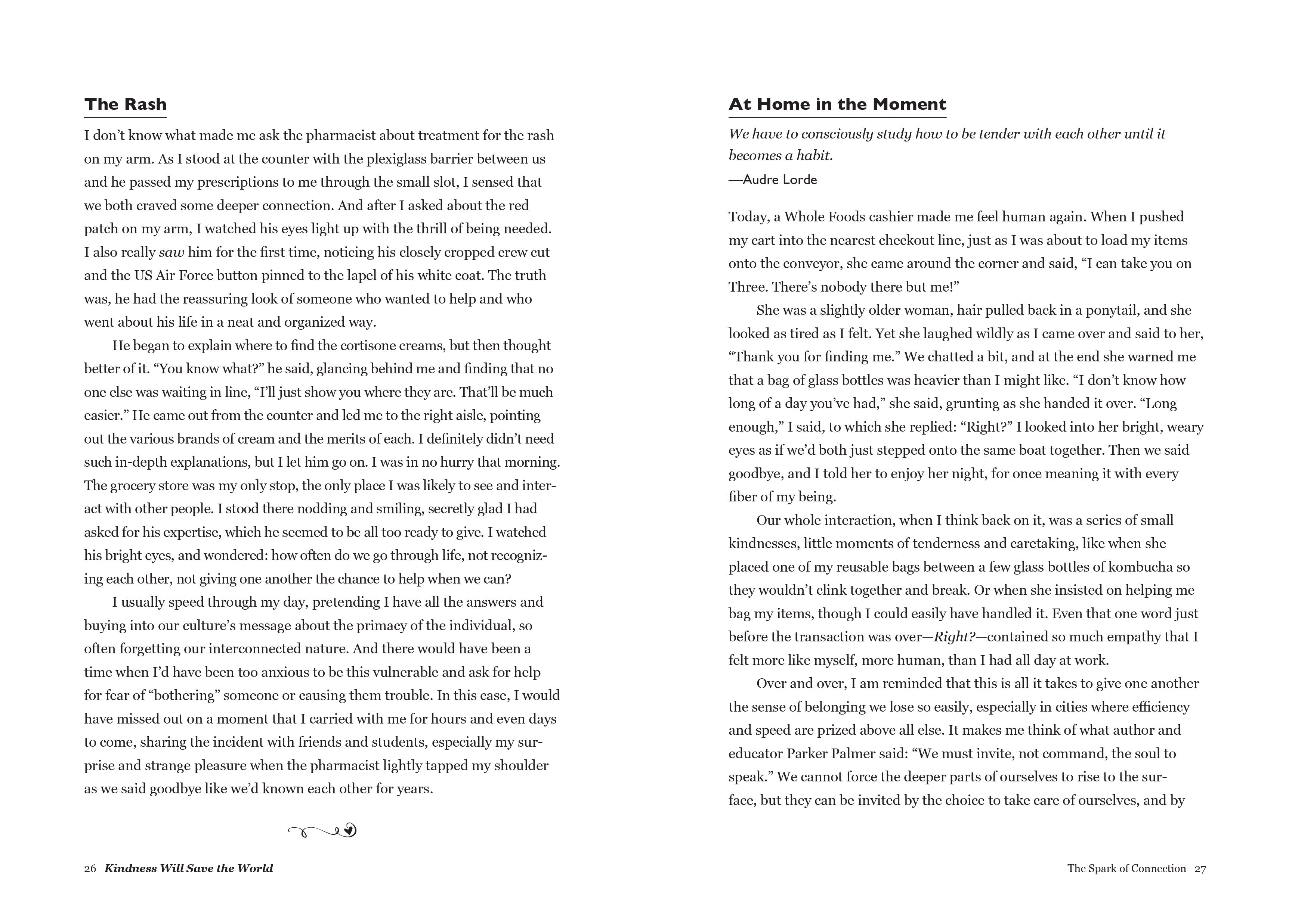 Hardcover book titled "Kindness Will Save the World" by Insight Editions, with a colorful cover design.