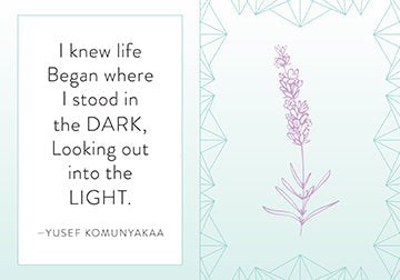 Hardcover mindfulness book by Insight Editions with calming cover design and inspiring title.