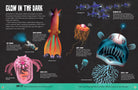 Hardcover My First Oceans Atlas by Insight Editions showing colorful ocean illustrations and detailed maps of marine life.