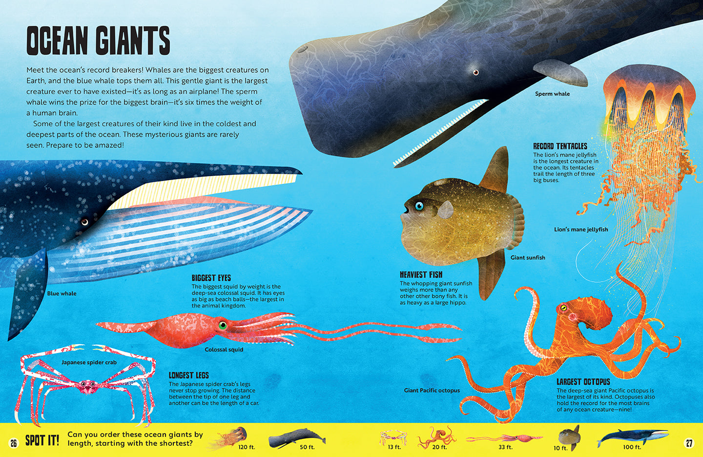 Hardcover My First Oceans Atlas by Insight Editions featuring colorful underwater ocean scenes and marine life illustrations.