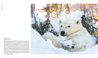 Hardcover book titled "New on Earth" by Insight Editions, featuring a cover image with natural landscape artwork.