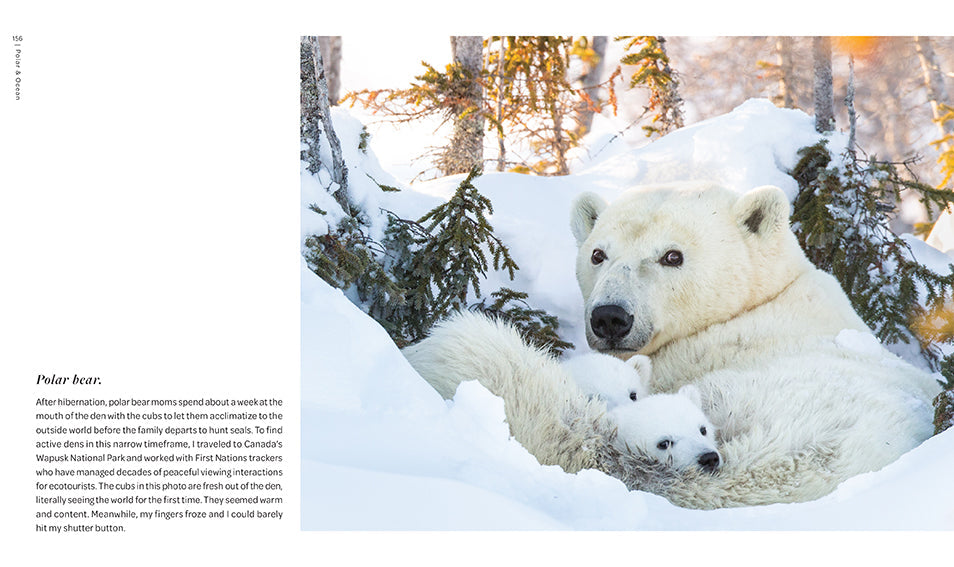 Hardcover book titled "New on Earth" by Insight Editions, featuring a cover image with natural landscape artwork.