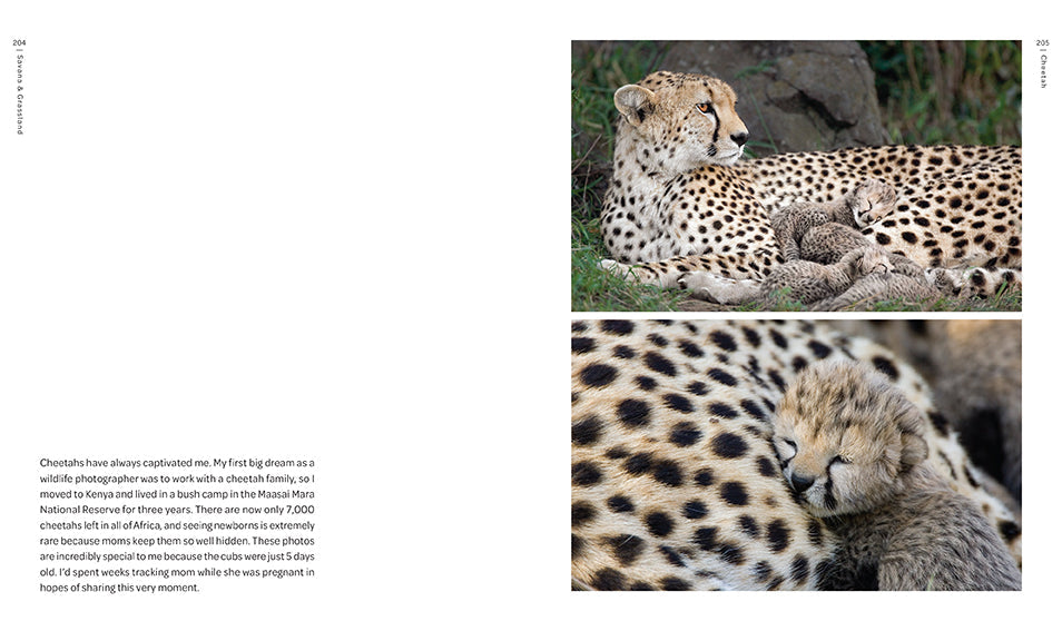 Hardcover book titled "New on Earth" by Insight Editions with a natural landscape cover image.