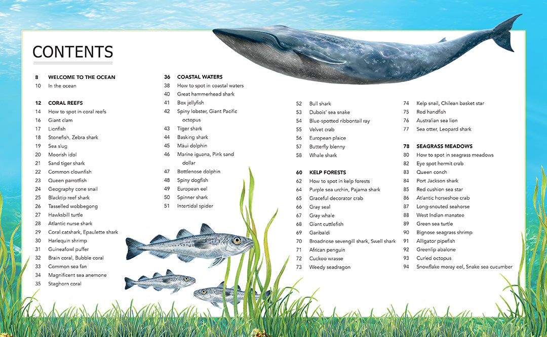 Hardcover book titled Ocean Creatures by Insight Editions featuring detailed illustrations of marine animals.