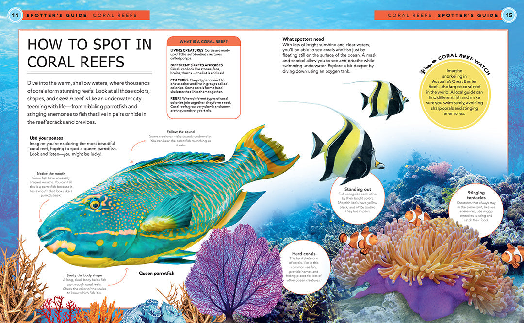 Hardcover book titled Ocean Creatures by Insight Editions, featuring colorful illustrations of marine animals and ocean life.