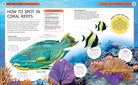 Hardcover book titled Ocean Creatures by Insight Editions, featuring colorful illustrations of marine animals and ocean life.