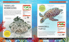 Hardcover book titled Ocean Creatures by Insight Editions, featuring detailed illustrations of marine animals on the cover.
