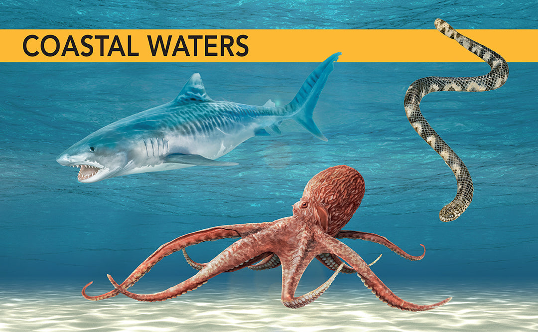 Hardcover book titled Ocean Creatures by Insight Editions featuring colorful illustrations of marine animals.