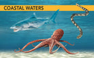 Hardcover book titled Ocean Creatures by Insight Editions featuring colorful illustrations of marine animals.
