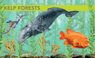 Hardcover book titled Ocean Creatures by Insight Editions featuring colorful illustrations of marine animals and ocean life.