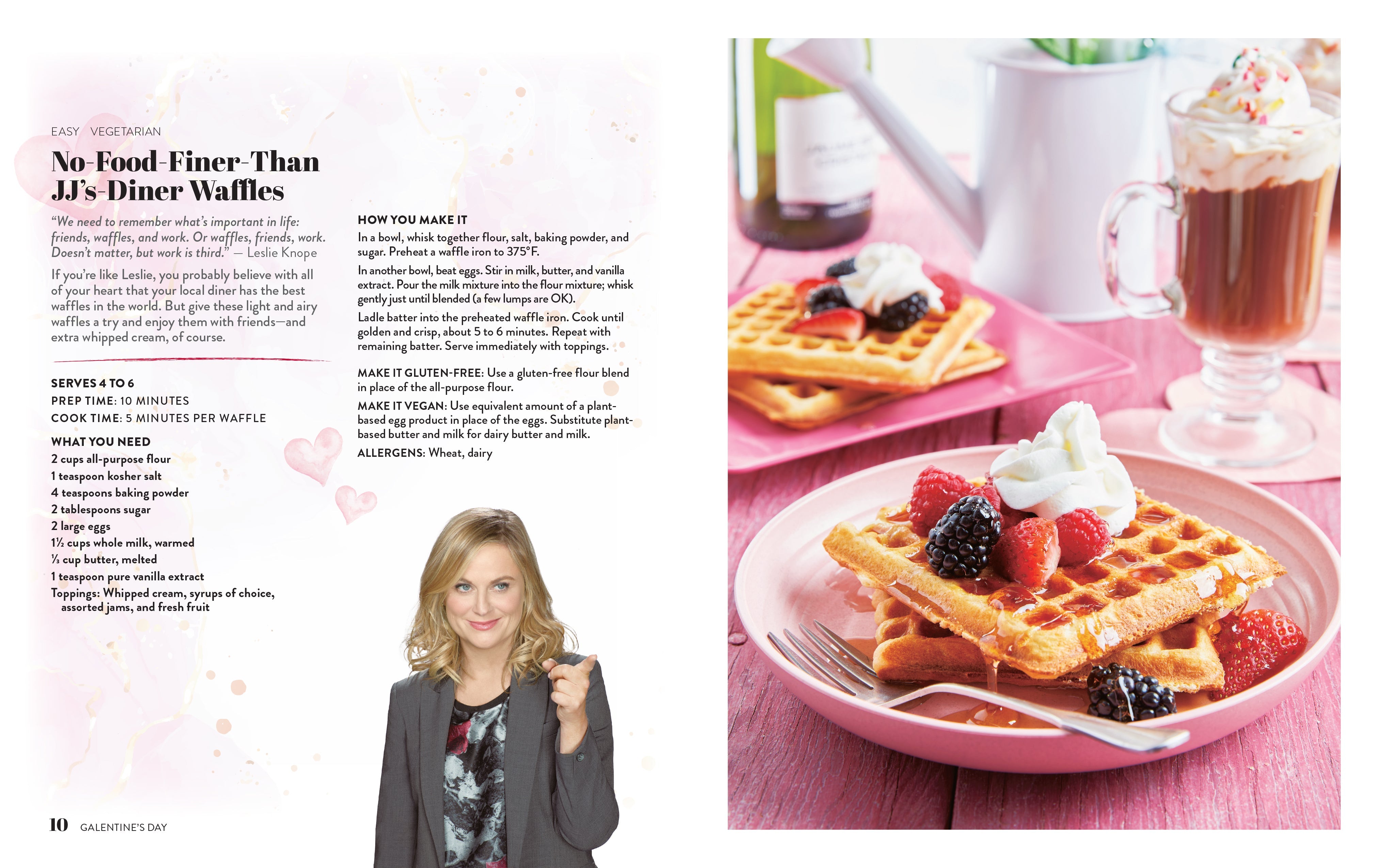 Hardcover of Parks and Recreation: Galentine's Day by Insight Editions, featuring colorful cover art and park-themed design.