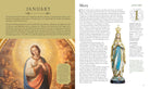 Hardcover book titled Saints by Insight Editions featuring religious artwork and illustrations on the cover.