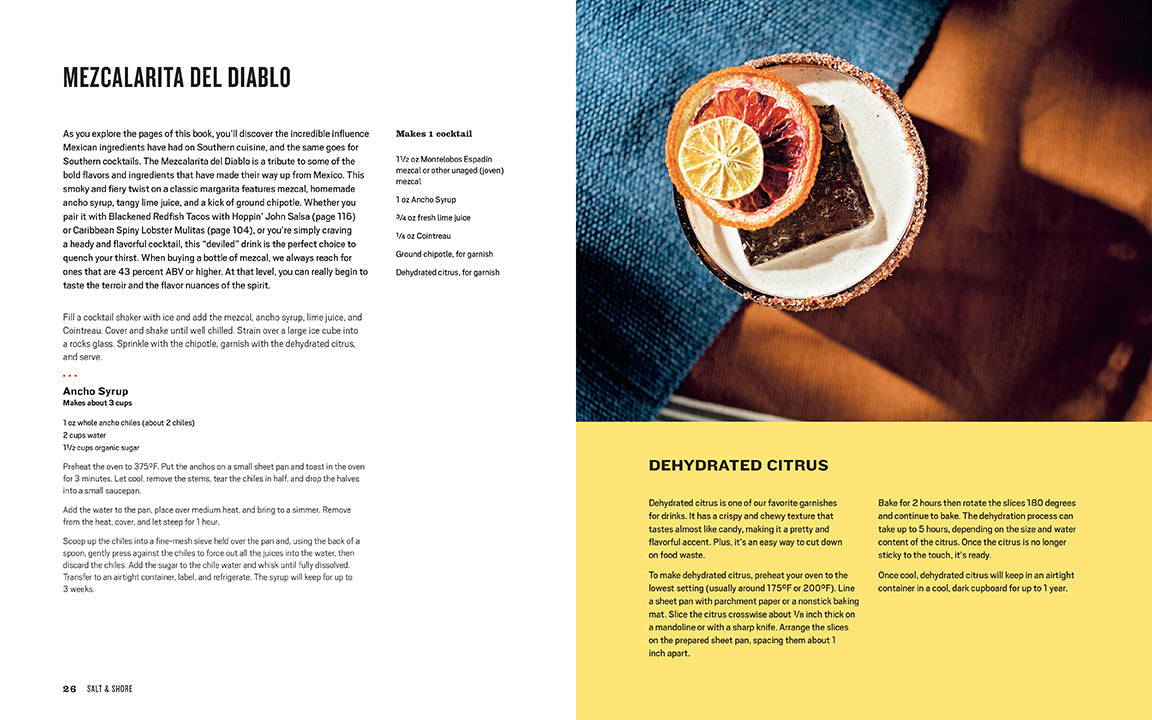 Hardcover book titled "Salt and Shore" by Insight Editions, featuring a coastal-themed cover design.