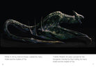 Inside view of hardcover "The Art of Harry Potter: Mini Book of Creatures" by Insight Editions, featuring detailed illustrations of magical creatures.