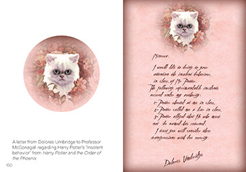 Interior of the hardcover "The Art of Harry Potter" mini book by Insight Editions, showcasing graphic design illustrations and pages.