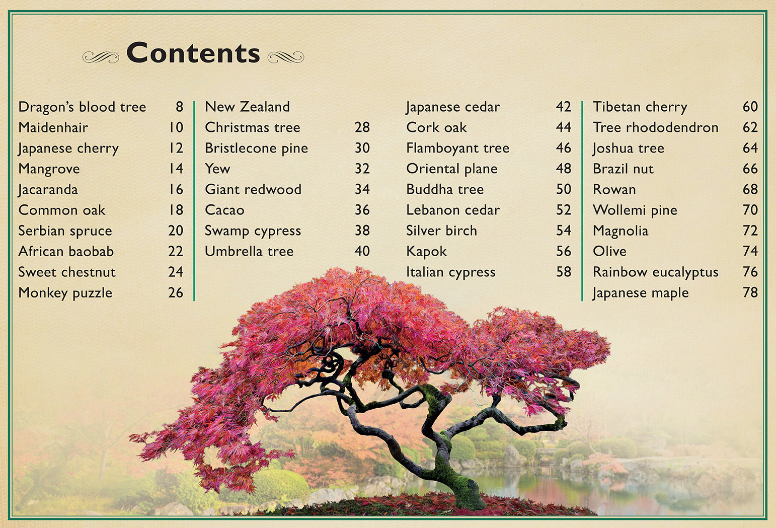 Hardcover of The Magnificent Book of Trees by Insight Editions, featuring detailed illustrations of various tree species.