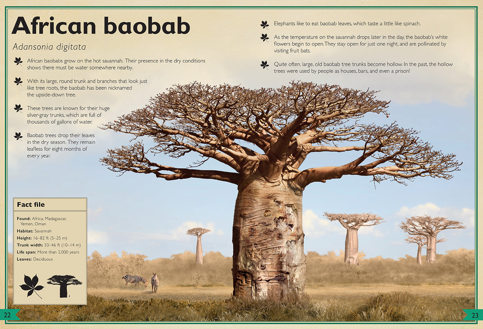 Hardcover copy of The Magnificent Book of Trees by Insight Editions featuring detailed illustrations of various tree species.