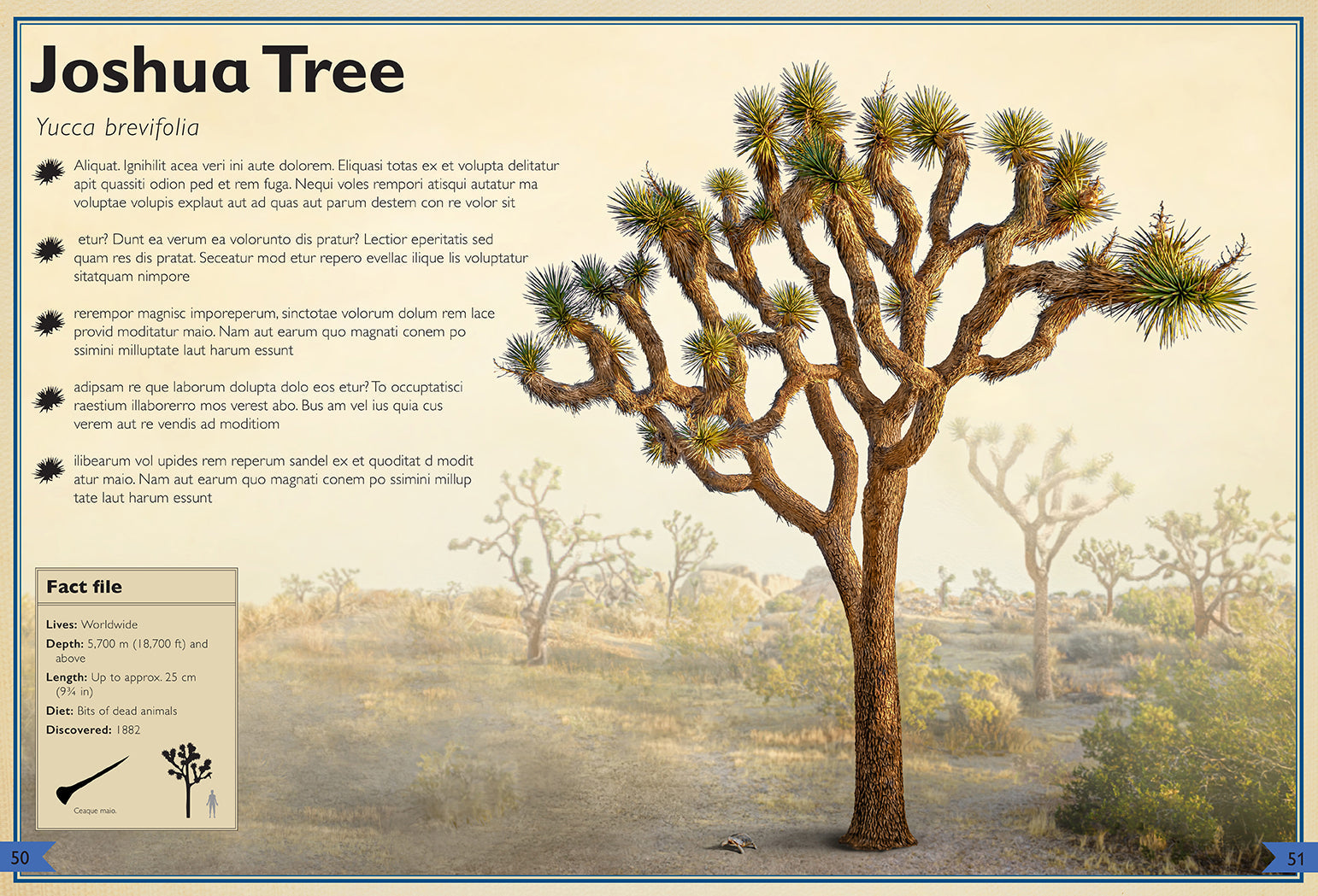 Hardcover copy of The Magnificent Book of Trees by Insight Editions featuring detailed illustrations of various tree species.