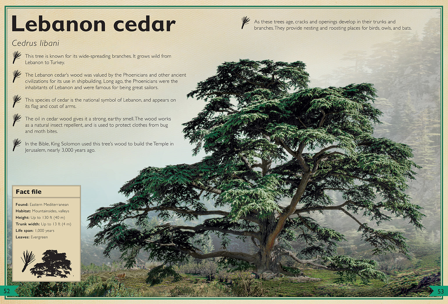 Hardcover copy of The Magnificent Book of Trees by Insight Editions featuring detailed illustrations of various tree species.