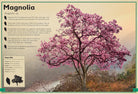Hardcover edition of The Magnificent Book of Trees by Insight Editions, featuring detailed illustrations of various tree species.