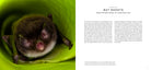 Hardcover edition of Bat Island book with jacket cover by Insight Editions, featuring artwork of a bat-themed island scene.