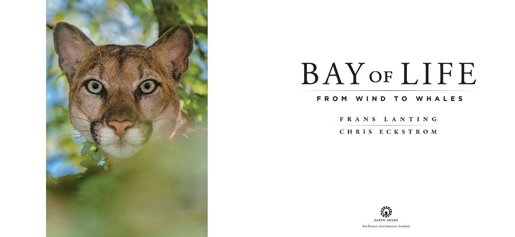 Hardcover book titled "Bay of Life" with a protective jacket from Insight Editions, featuring a scenic cover image.