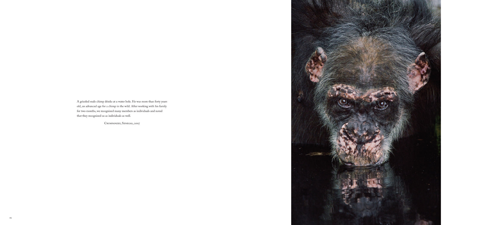 Hardcover edition of "Into Africa" by Insight Editions with a protective jacket, featuring a detailed cover design.