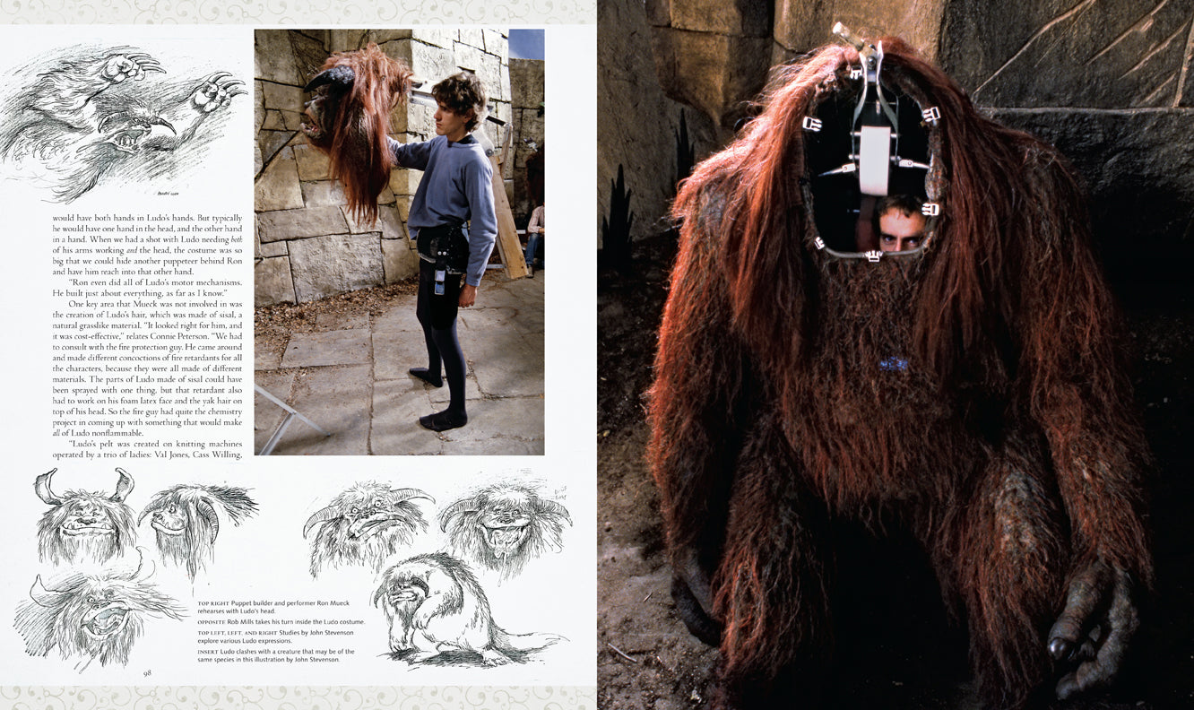 Hardcover book titled "Labyrinth: The Ultimate Visual History" with a protective jacket, published by Insight Editions.