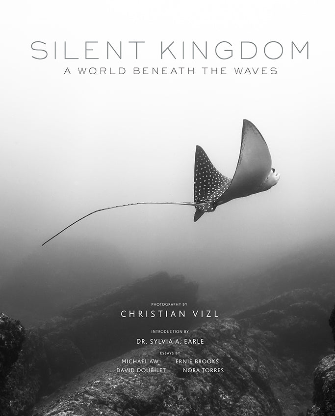 Hardcover edition of Silent Kingdom with protective jacket by Insight Editions, featuring a detailed cover design.