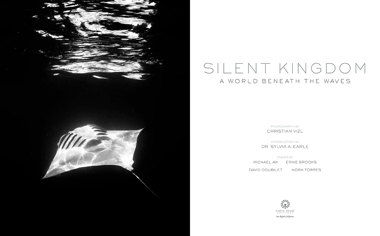 Hardcover edition of Silent Kingdom with jacket by Insight Editions, featuring detailed cover art and textured binding.