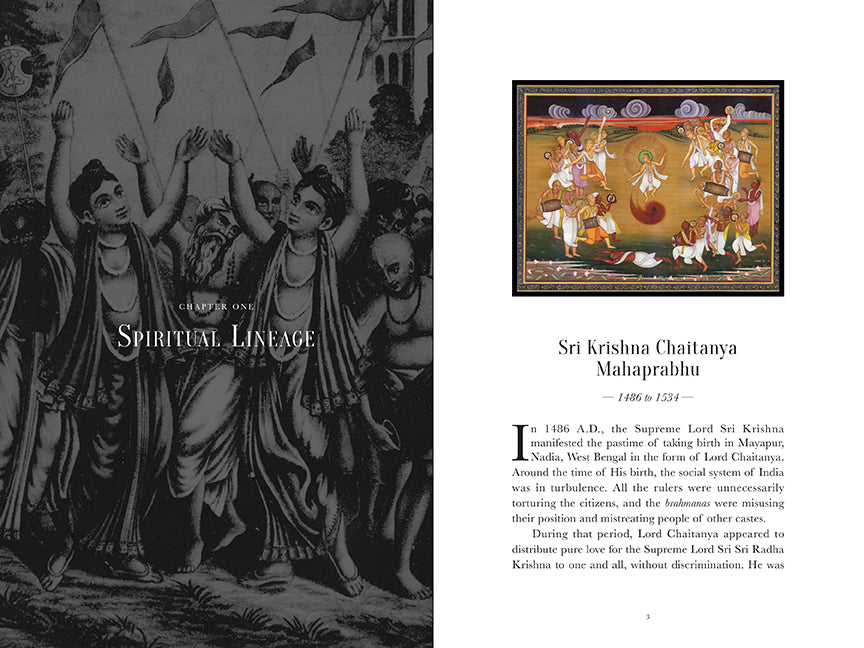 Hardcover book titled "The Mission" with a protective jacket by Insight Editions, showing the front cover design.
