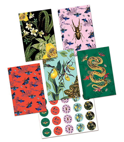 Set of 20 botanical art cards in a portfolio, featuring nature-themed illustrations, from the Art of Nature by Insight Editions.