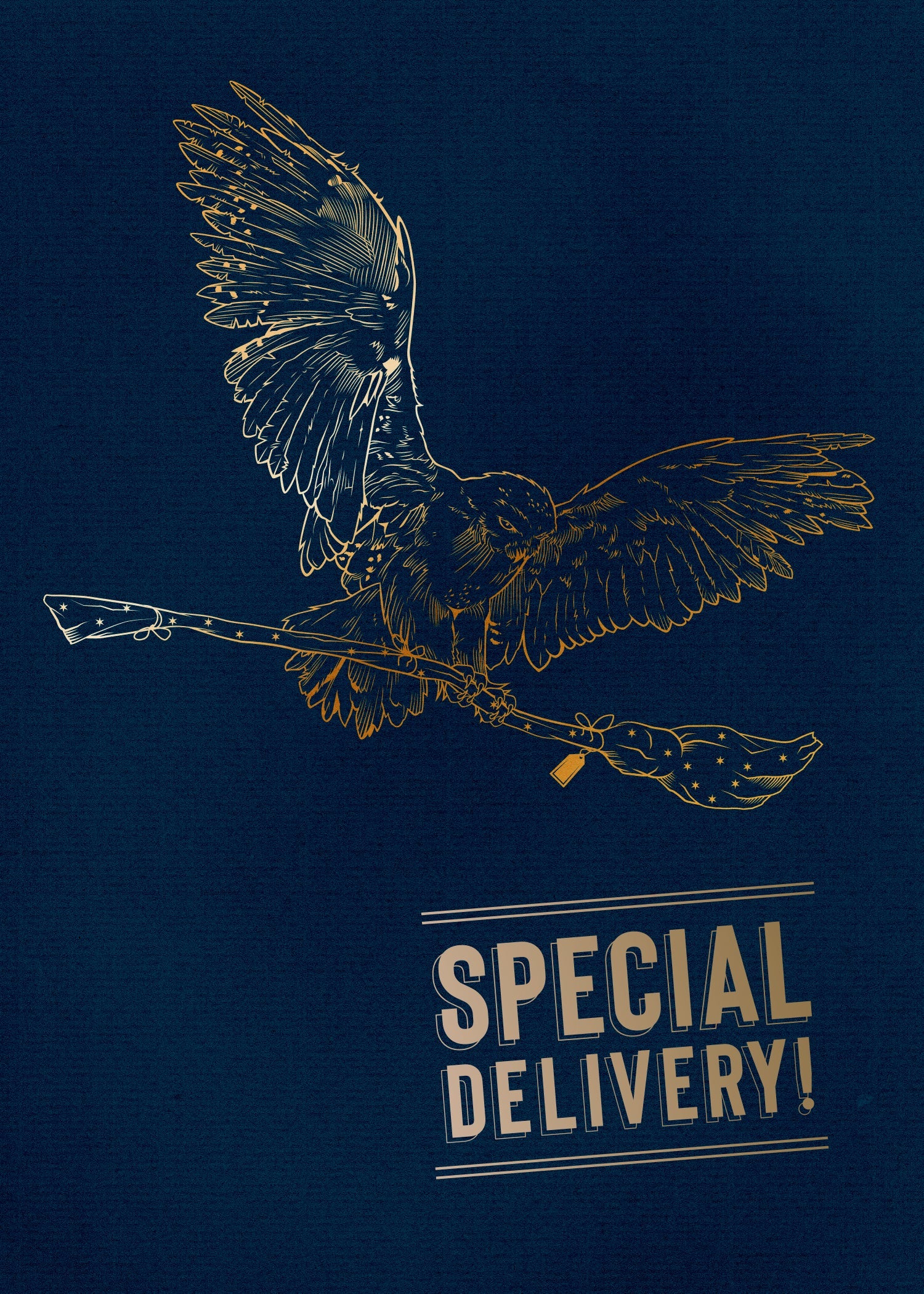 Harry Potter Hedwig signature pop-up card from Insight Editions, featuring detailed paper craftsmanship and magical owl design.