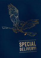 Harry Potter Hedwig signature pop-up card from Insight Editions, featuring detailed paper craftsmanship and magical owl design.