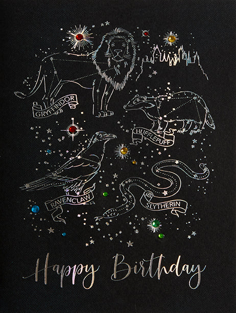 Harry Potter Night Sky Birthday Embellished Card from Insight Editions, featuring magical night sky design for special occasions.