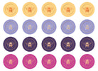Honeybee Card Portfolio Set by Insight Editions, featuring 20 beautifully designed cards for home or gift use.