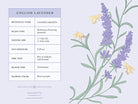 Honeybee Card Portfolio Set with 20 decorative cards by Insight Editions, featuring detailed bee and floral illustrations.