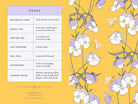 Honeybee card portfolio set by Insight Editions with 20 decorative greeting cards for home gifting or display.