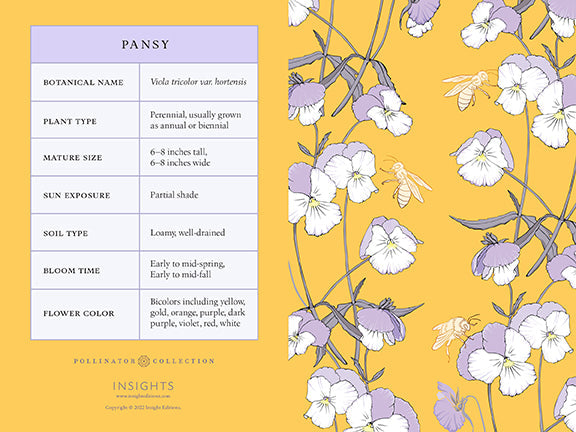 Honeybee card portfolio set by Insight Editions with 20 decorative greeting cards for home gifting or display.