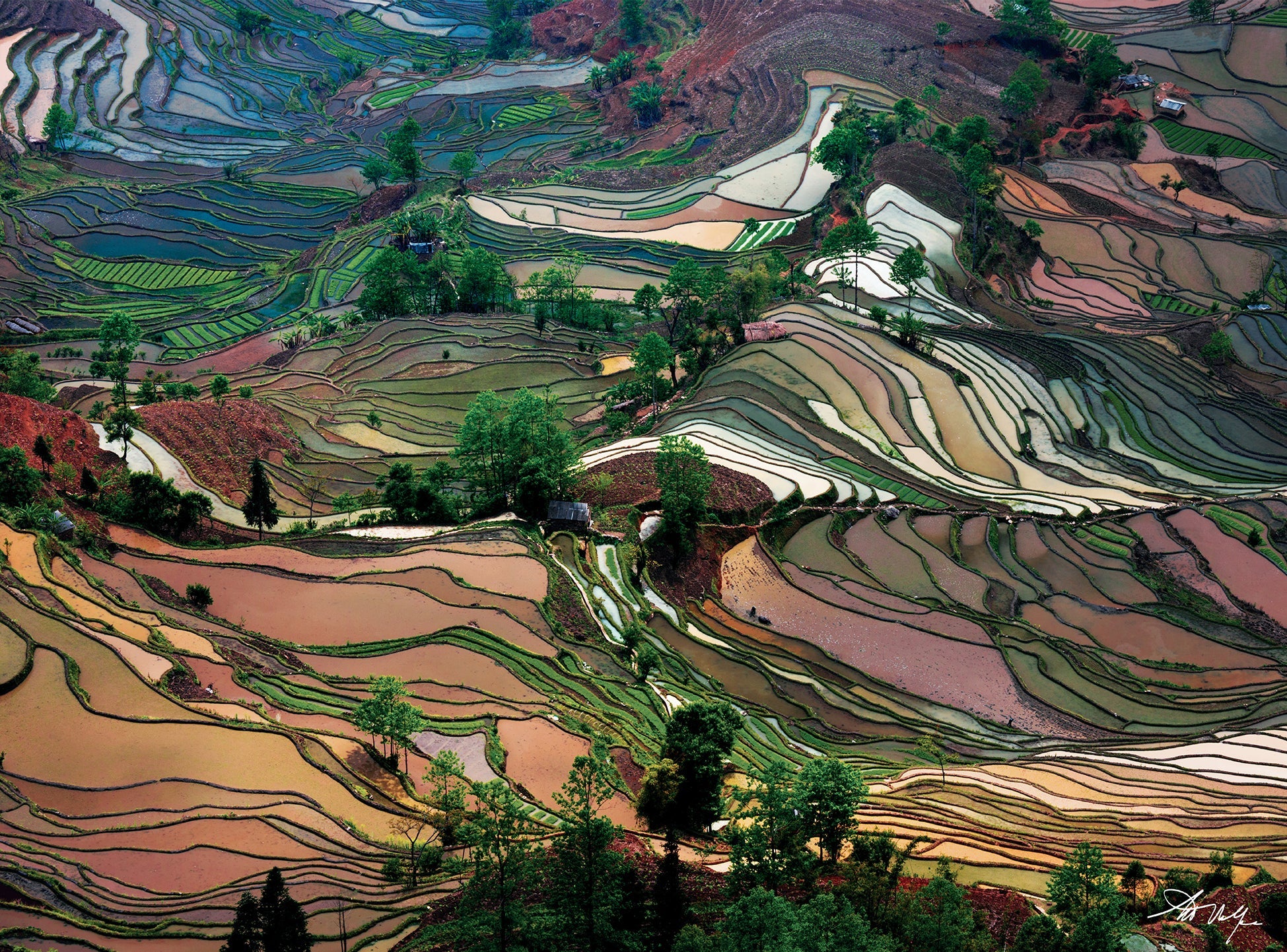 Art Wolfe Rice Terraces kit by Insight Editions featuring a landscape photograph of lush rice terraces in vibrant colors.