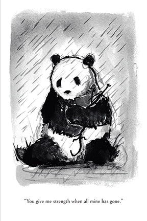 Set of 20 boxed cards featuring Big Panda and Tiny Dragon illustrations by Insight Editions, displayed in a decorative box.
