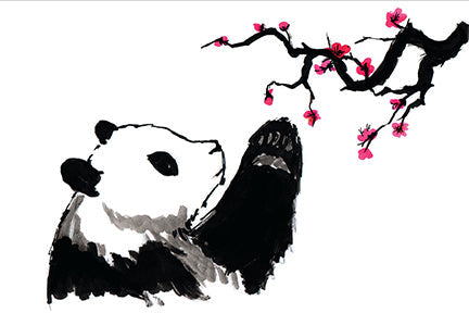 Boxed set of 20 Big Panda and Tiny Dragon themed cards from Insight Editions, featuring colorful illustrations and packaging.