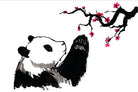 Boxed set of 20 Big Panda and Tiny Dragon themed cards from Insight Editions, featuring colorful illustrations and packaging.