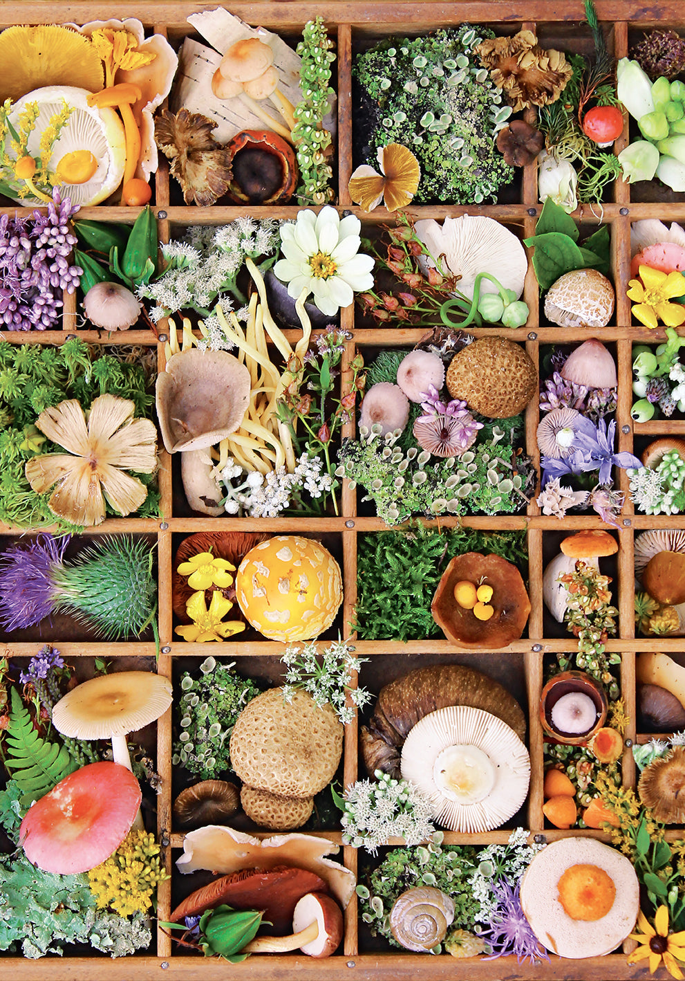 Flowers and Fungi Jigsaw Puzzle kit by Insight Editions featuring colorful botanical and mushroom illustrations.