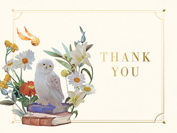 Harry Potter Magical World thank you boxed cards set by Insight Editions, featuring 30 wizard-themed thank you card designs.